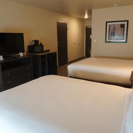 Comfort Inn & Suites Medina Esterno foto