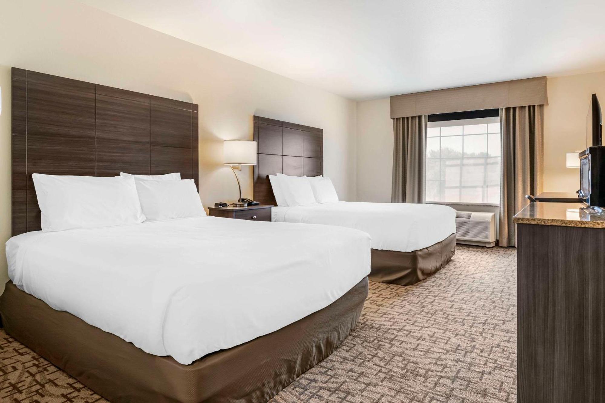 Comfort & Hotel
